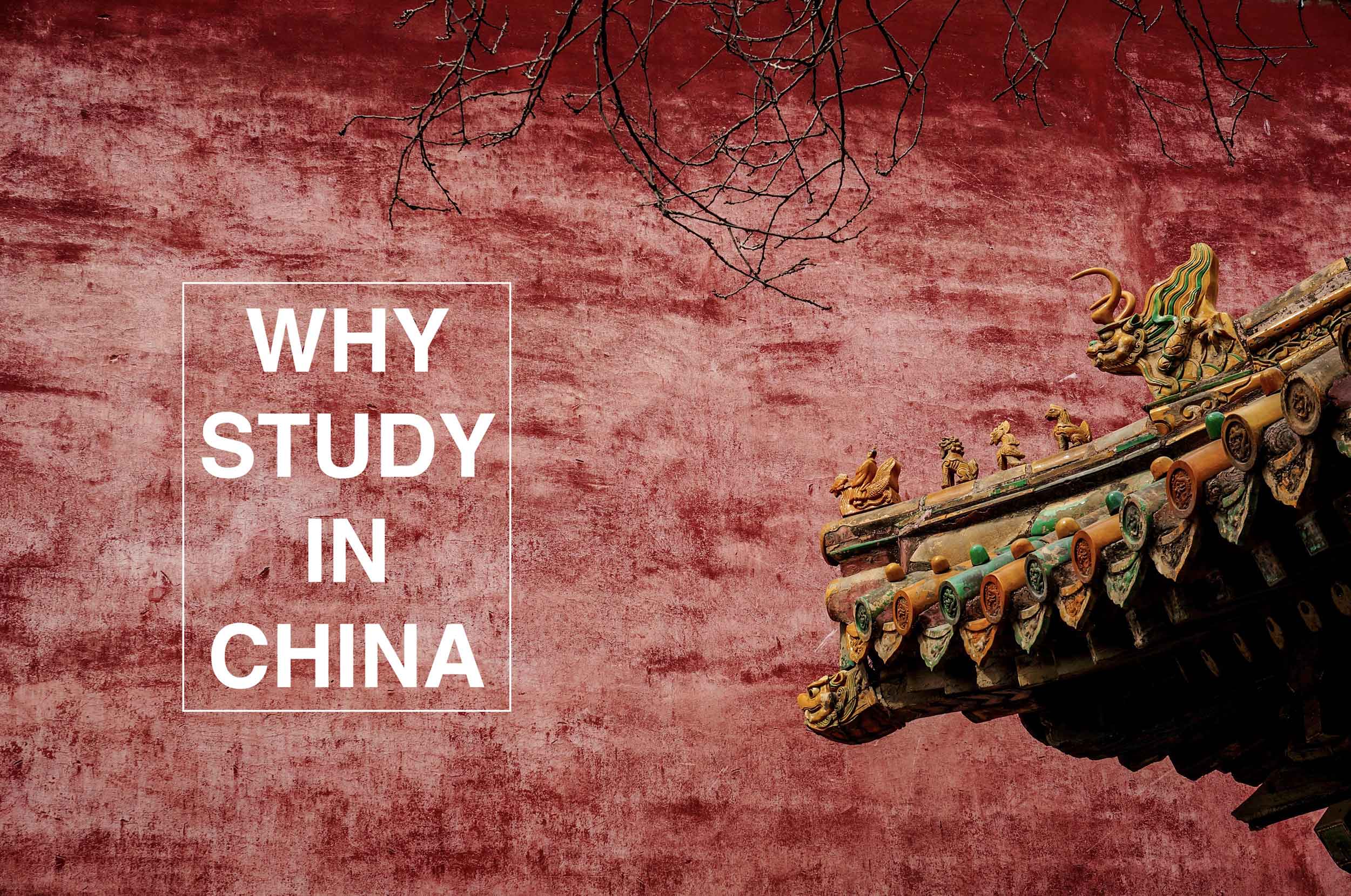 STUDY IN CHINA