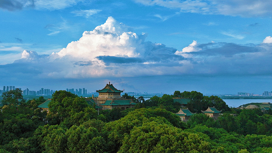 Wuhan University (WHU)